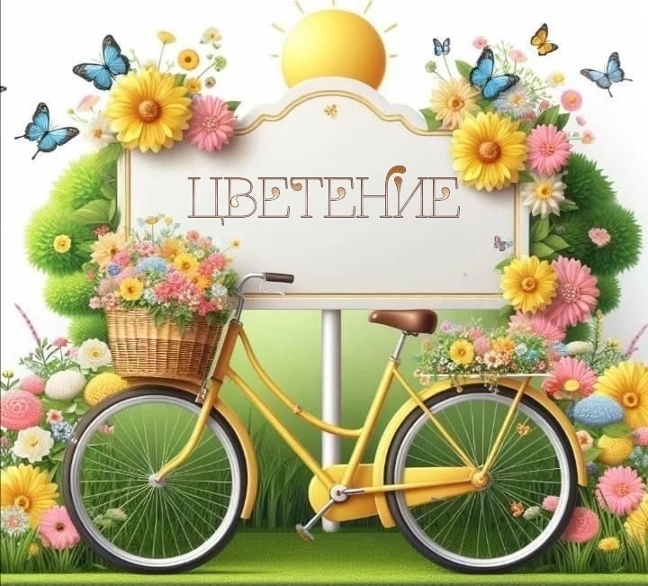 Цветение.jpg